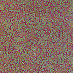 Floating Point